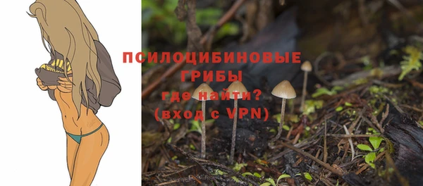 шишки Протвино