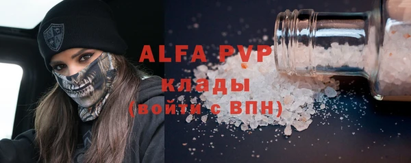 прущие грибы Балахна