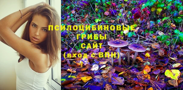 ГАЛЛЮЦИНОГЕННЫЕ ГРИБЫ Балабаново