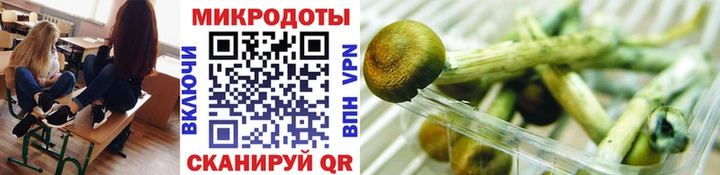 Галлюциногенные грибы Psilocybe  Семилуки 